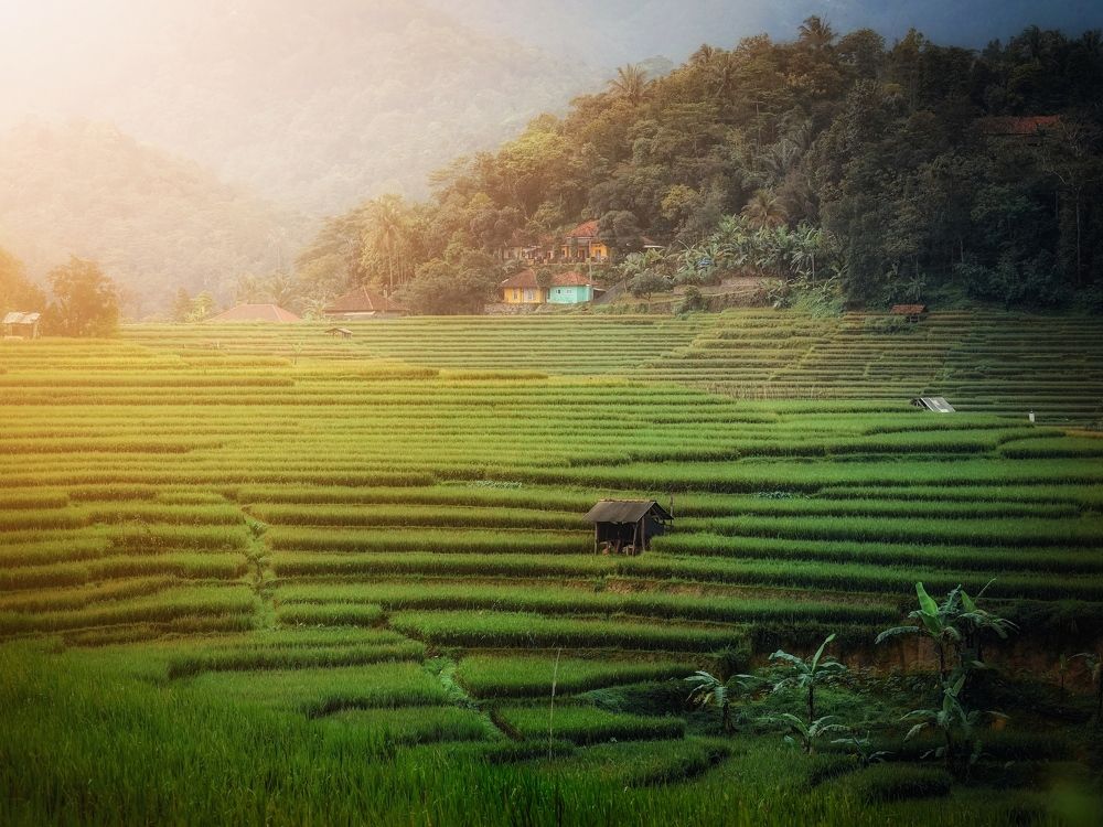 Фотография автора Henri Fitriadi