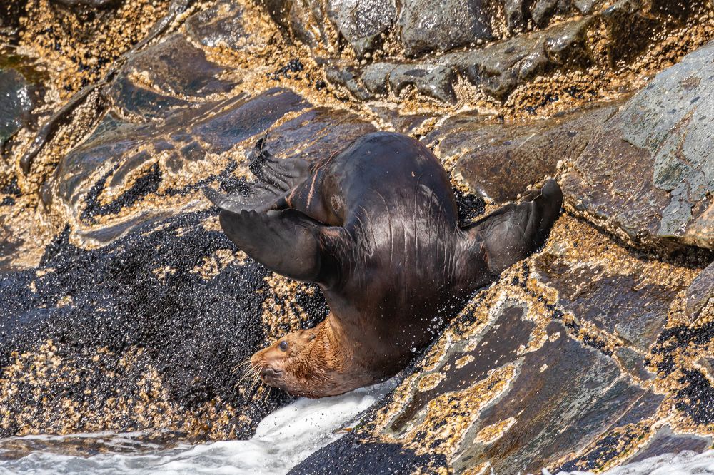 Photograph by Евдокия Камагина