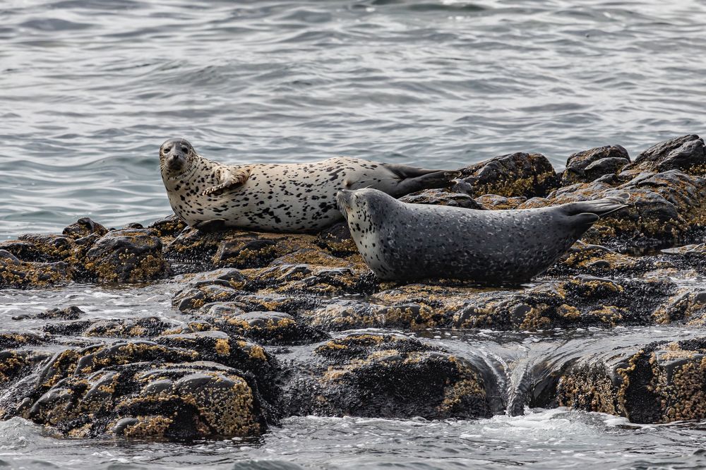 Photograph by Евдокия Камагина