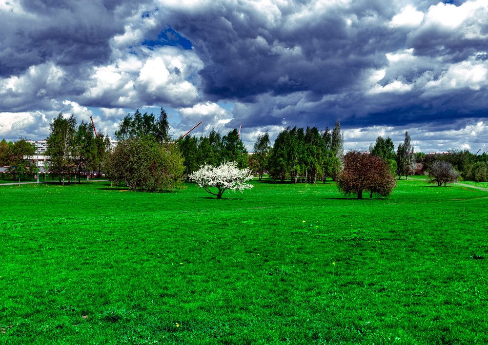 Photograph by Сергей Аникушин