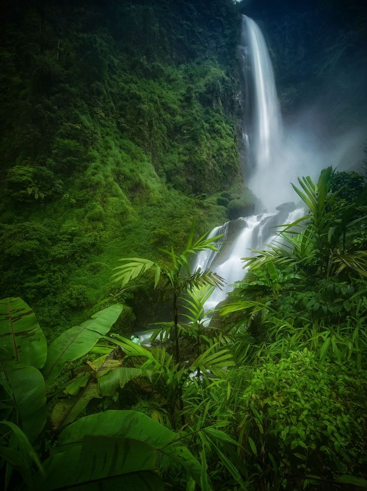 Фотография автора Henri Fitriadi