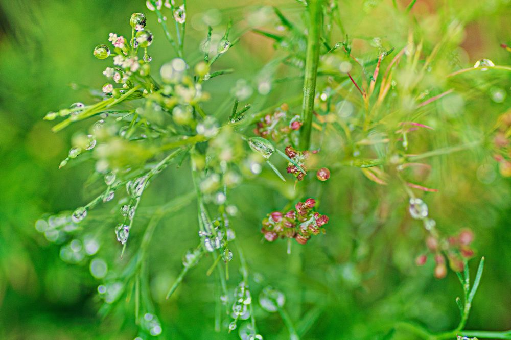 Photograph by Belen Medina de la Campa