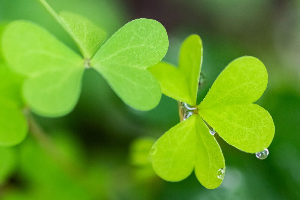 Photograph by Belen Medina de la Campa