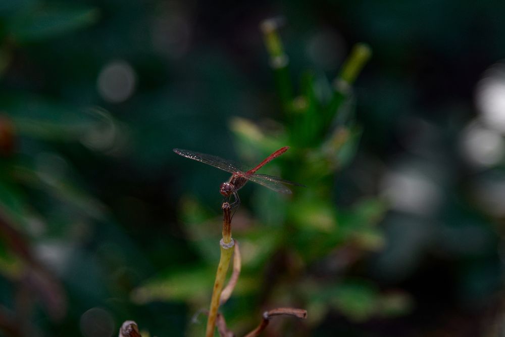 Photograph by Ксения Щербань