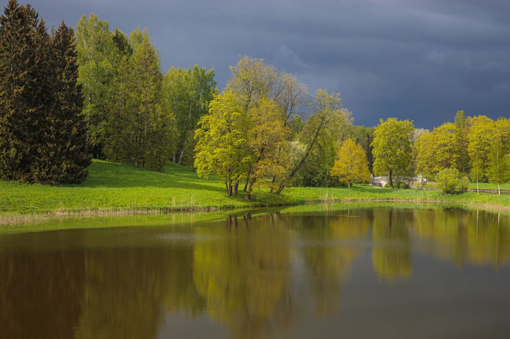 Photograph by Мария Казакова