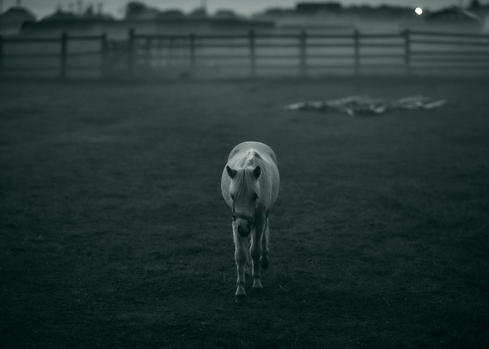 Фотография автора Ilya Merkulov