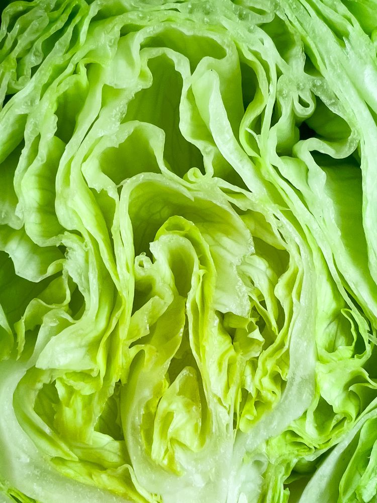 Photograph by Belen Medina de la Campa