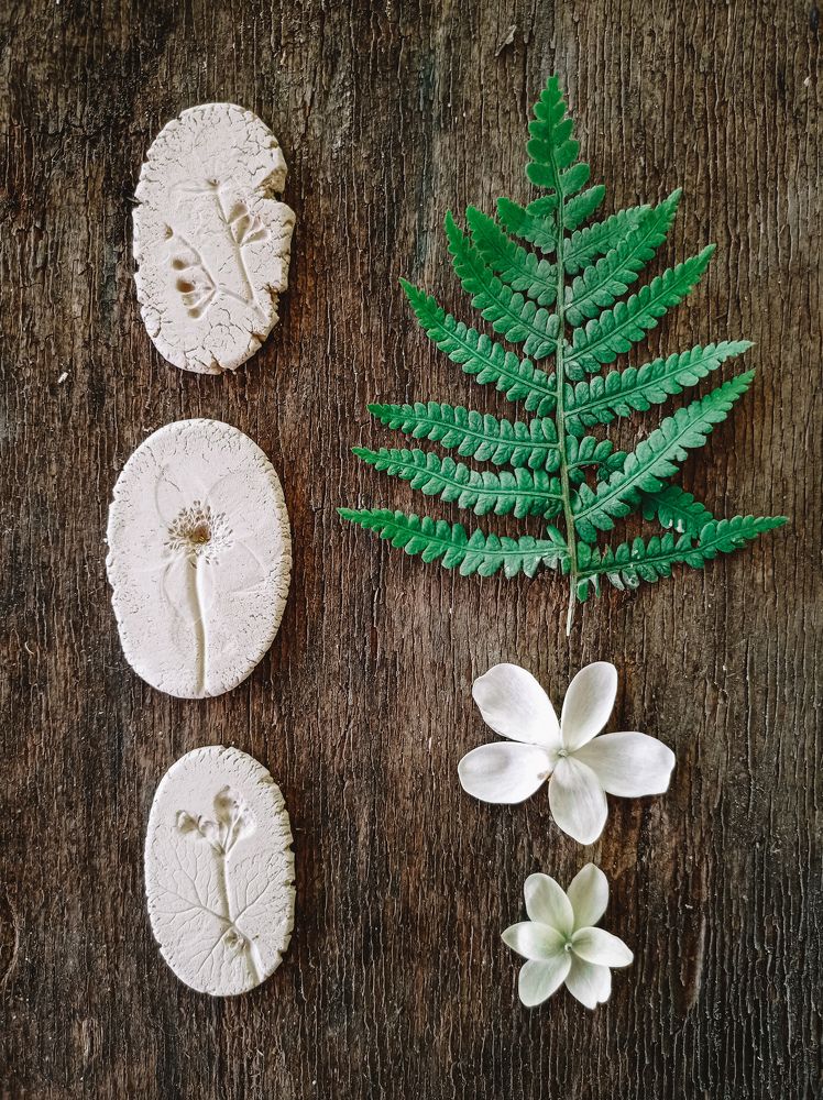 Photograph by Вигдис