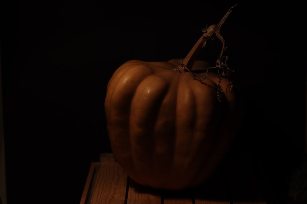 Photograph by Andrea Alcalá