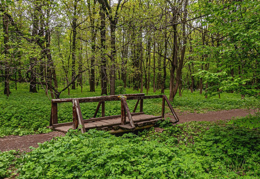 Photograph by Vladimir  Komarov