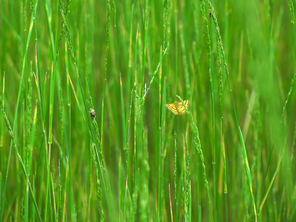 Photograph by Виктор Карпухин