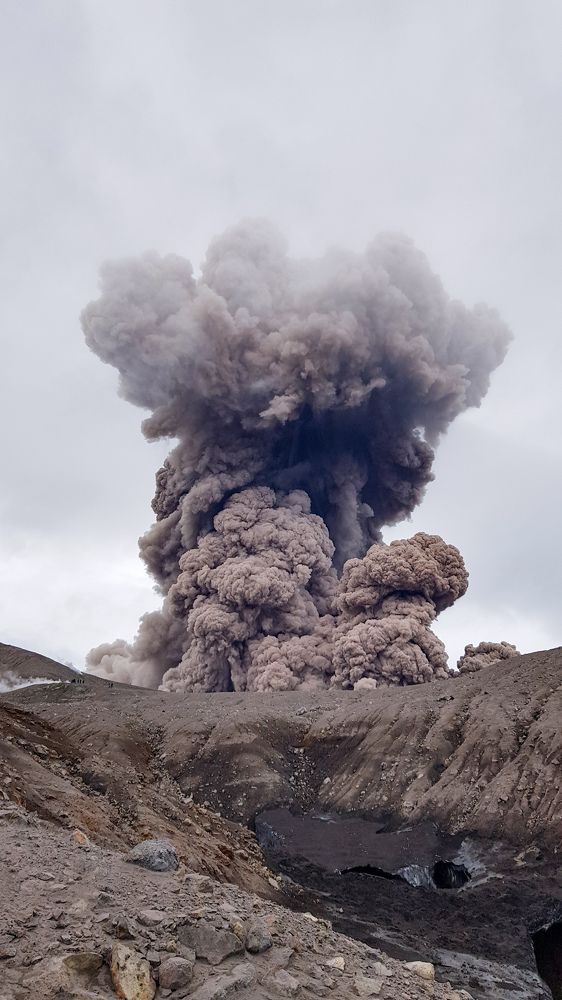 Photograph by Елена Котенко