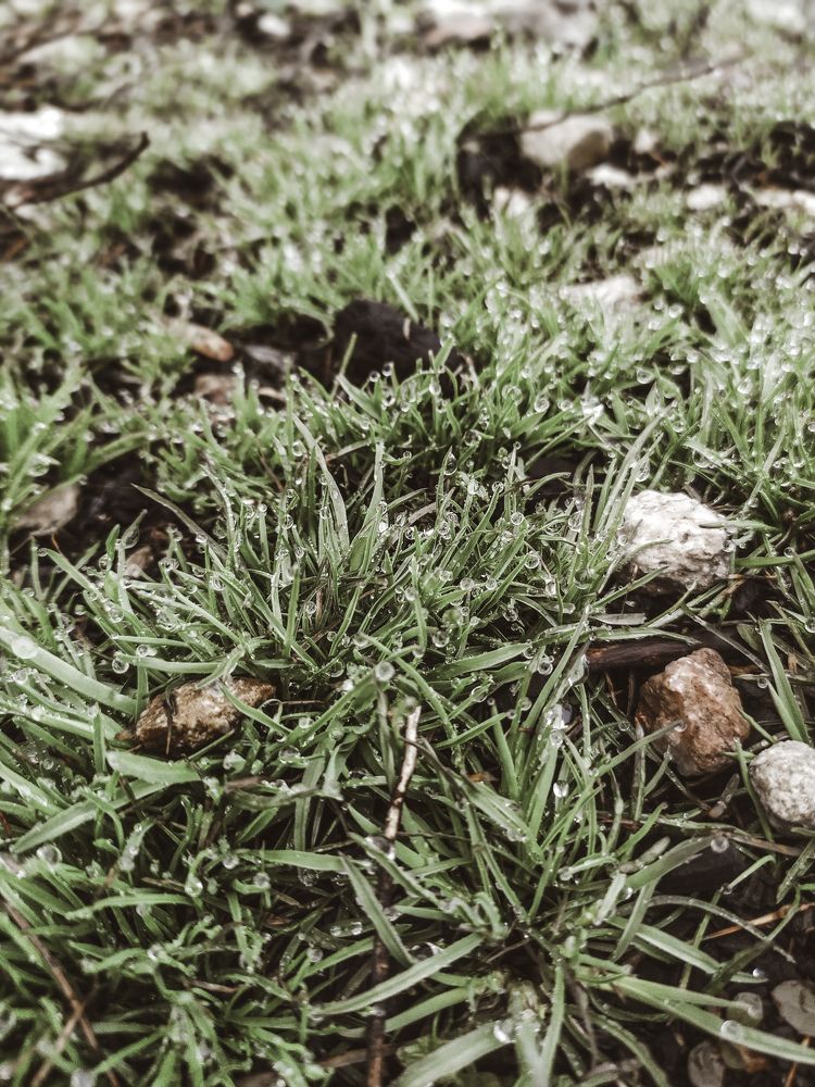 Фотография автора Julia Core