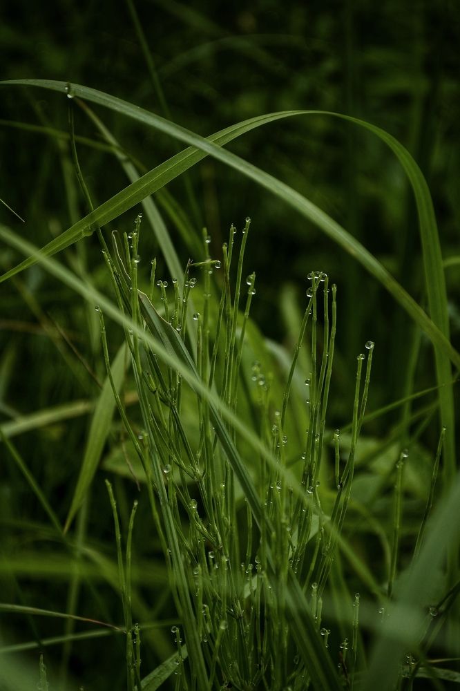 Photograph by Карина Слабкая