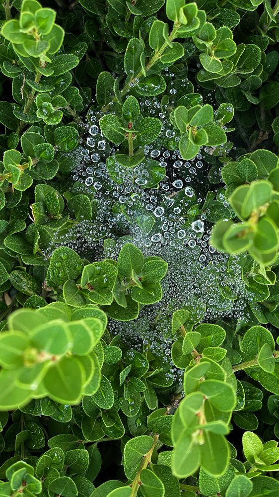 Photograph by Hanna  Azarka