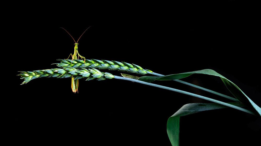 Photograph by Виталий Бодрягин