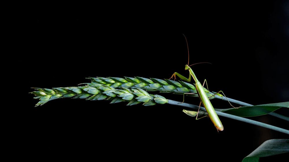 Photograph by Виталий Бодрягин