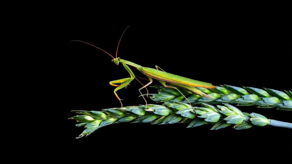 Photograph by Виталий Бодрягин