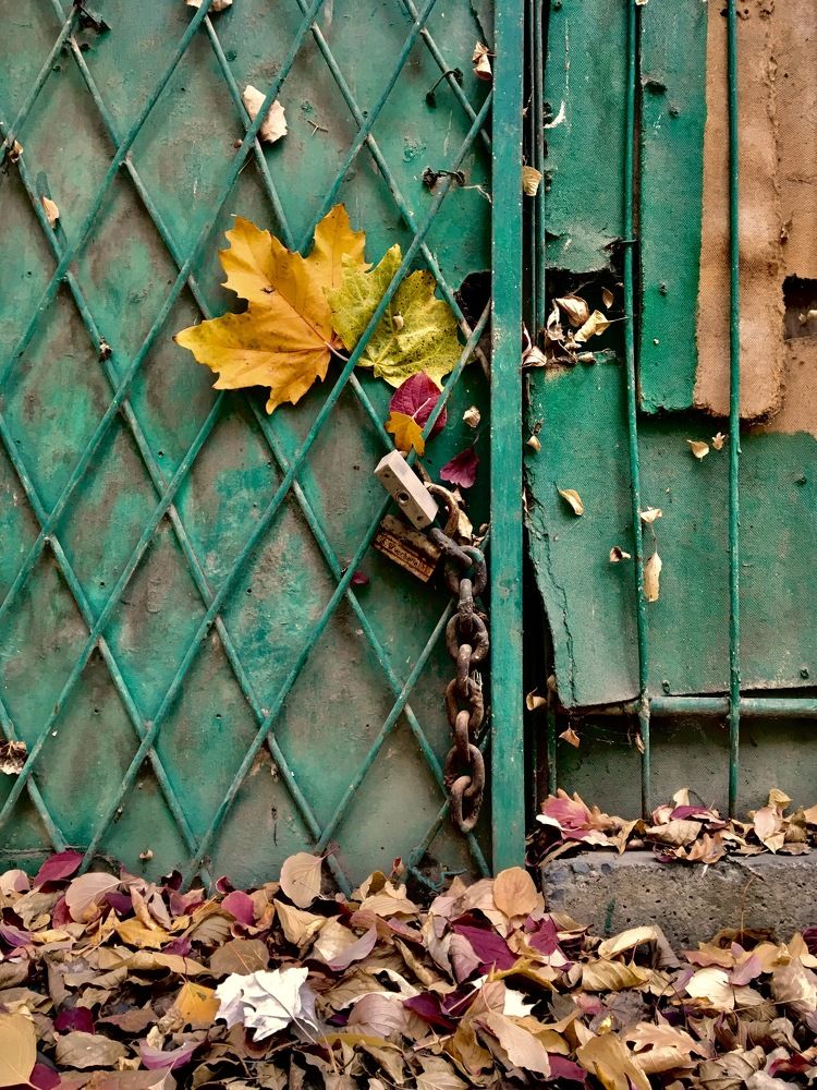 Photograph by Елена Ким