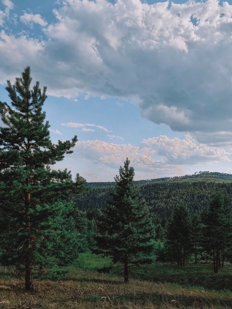 Photograph by Юлия Тумурова