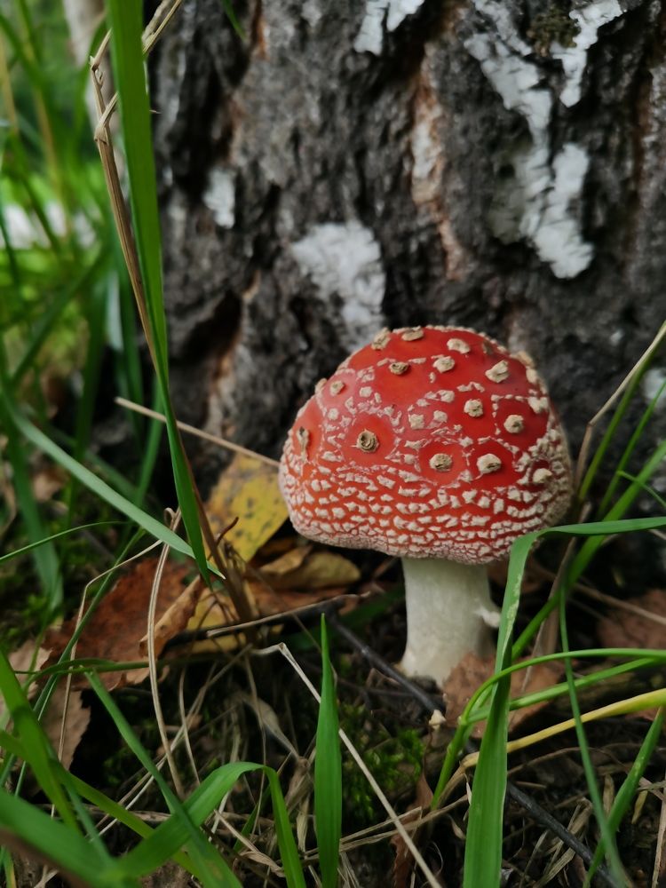 Photograph by Наталья Круглова