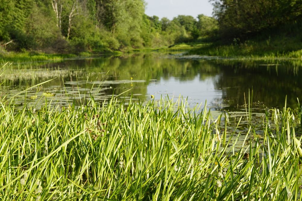 Фотография автора Павлов Дмитрий