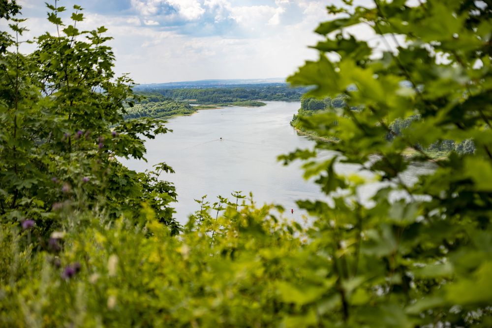 Фотография автора Павлов Дмитрий