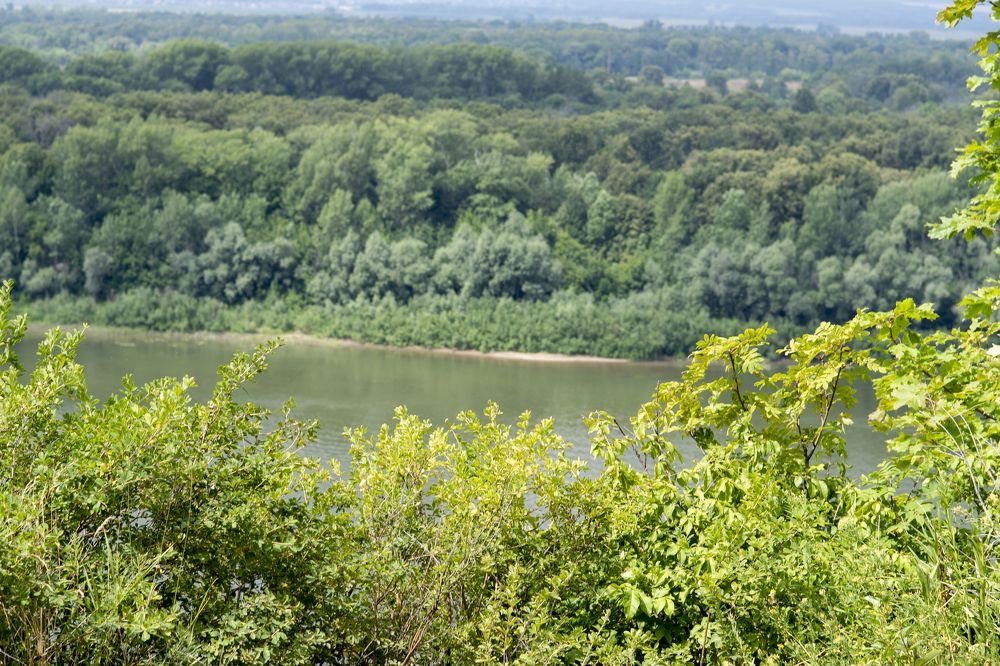 Фотография автора Павлов Дмитрий