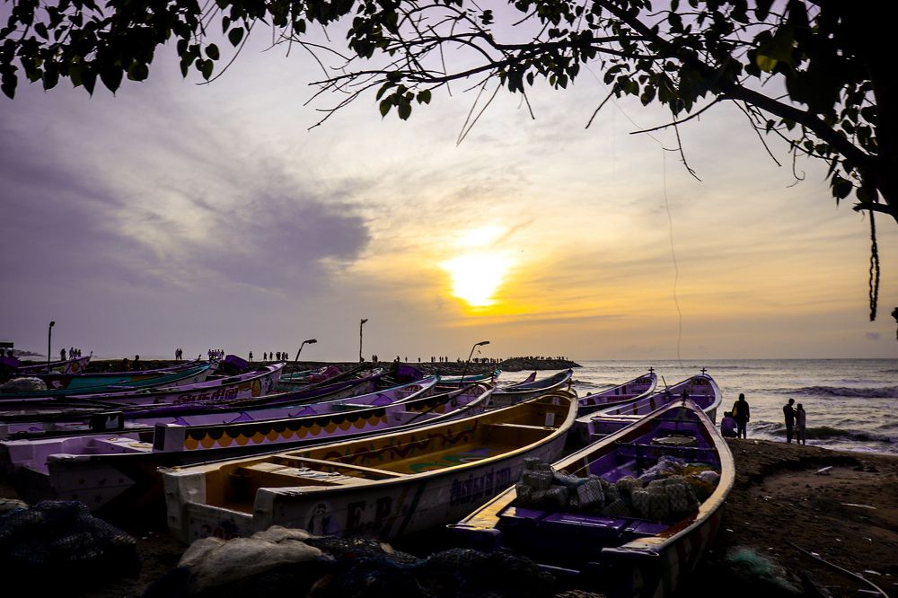 Photograph by Arockiya Edison