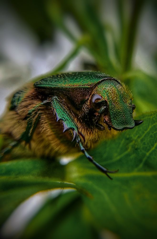 Photograph by Дина Чаица