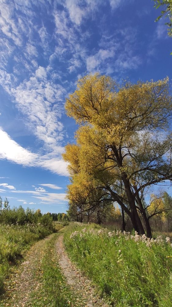 Photograph by Александр Лунин