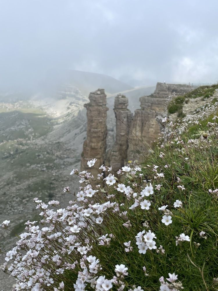 Фотография автора Юлия Недосекина