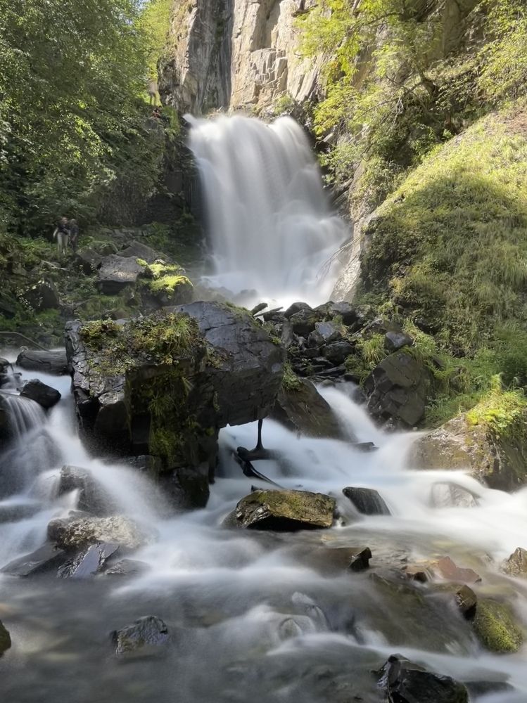 Фотография автора Юлия Недосекина