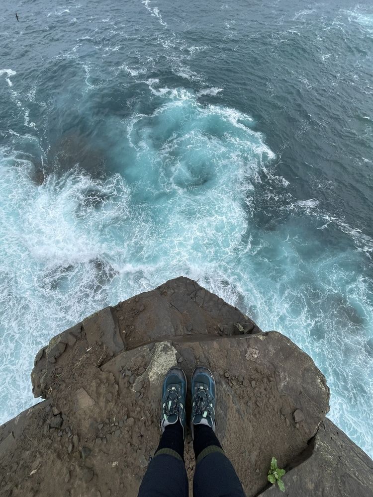 Фотография автора Юлия Недосекина