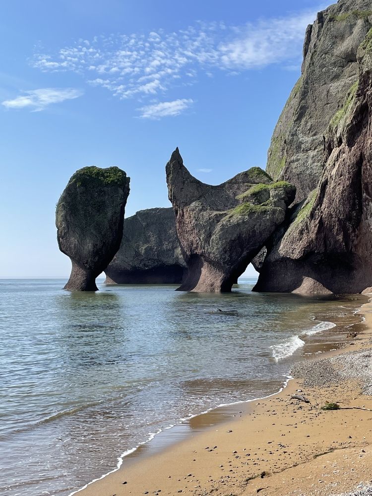 Фотография автора Юлия Недосекина