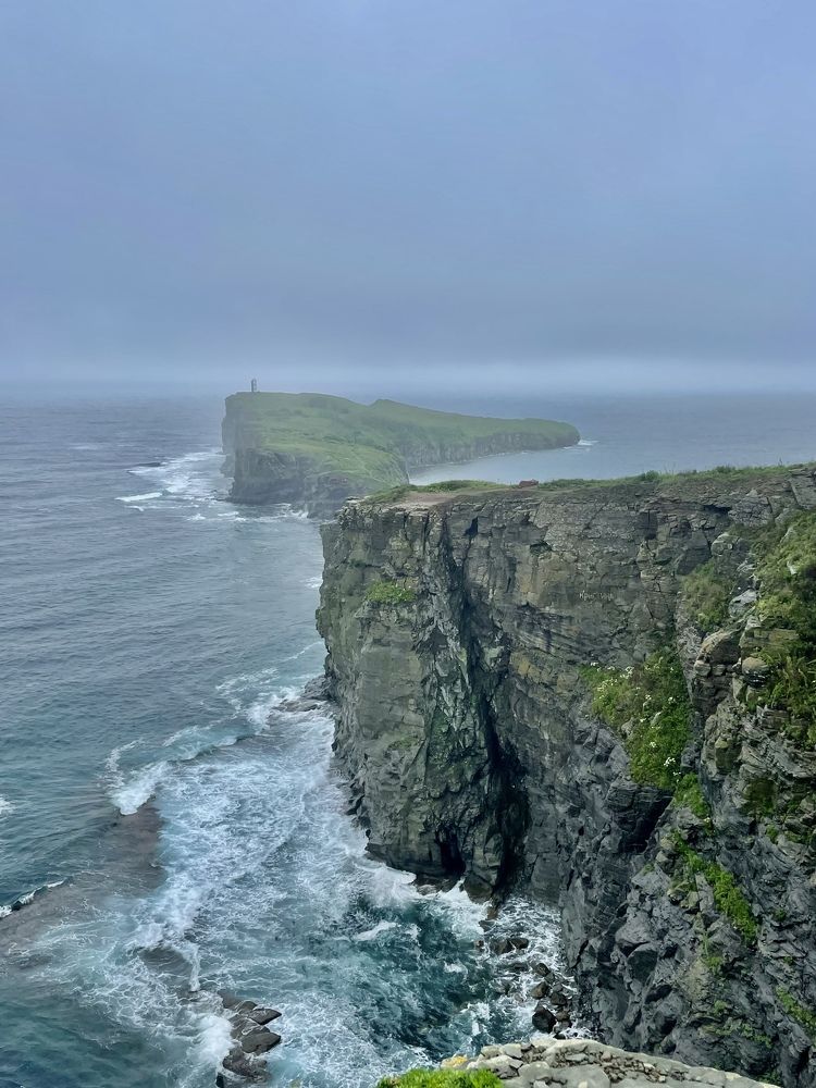 Фотография автора Юлия Недосекина