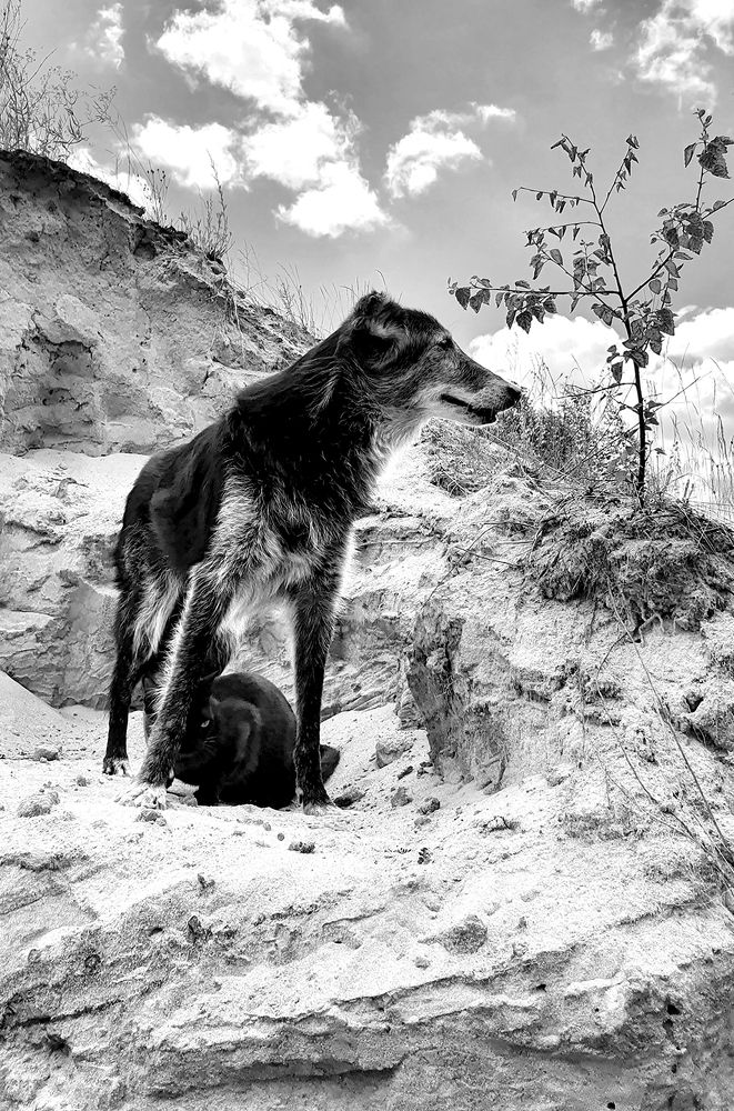 Фотография автора Надежда Лисицына