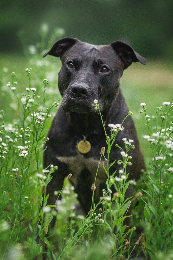 Photograph by Ангелина Ледовская