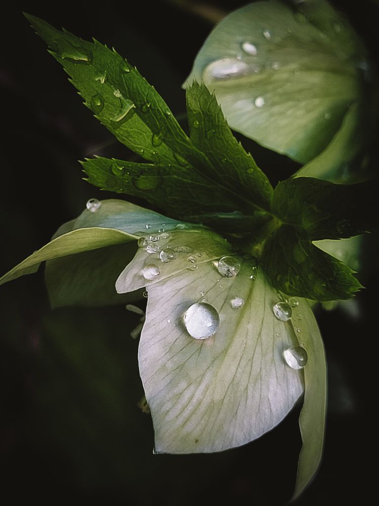 Photograph by Полина