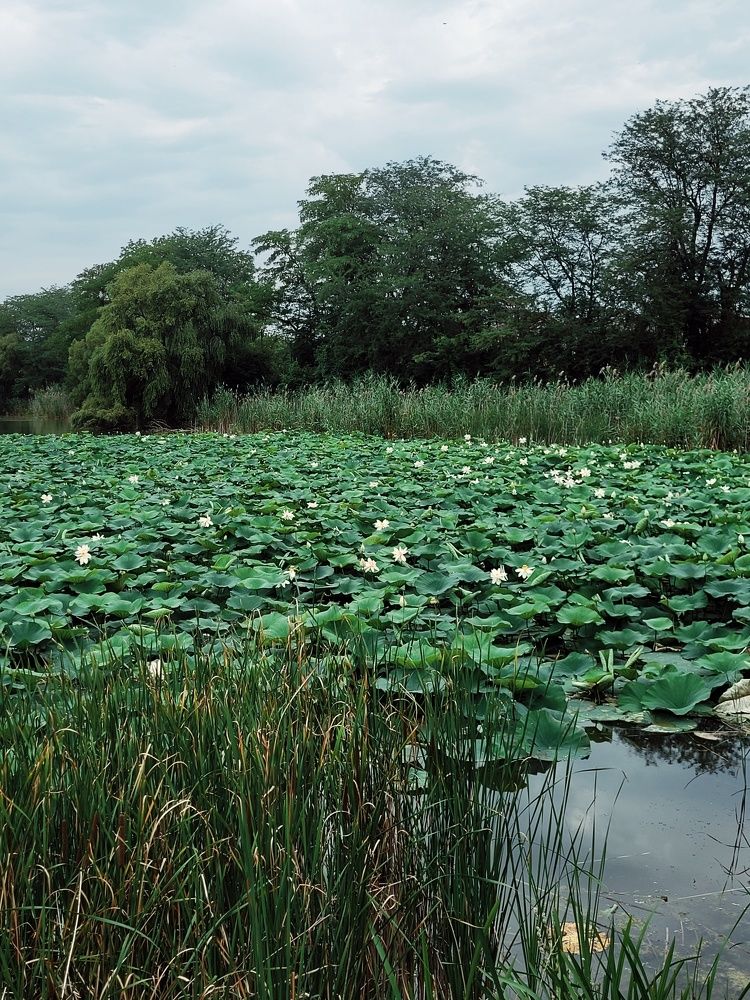 Photograph by Полина