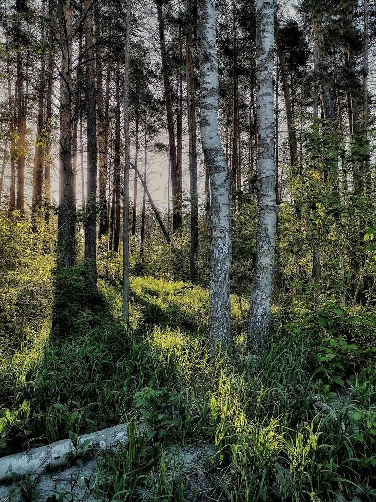 Photograph by Наталья Веряскина