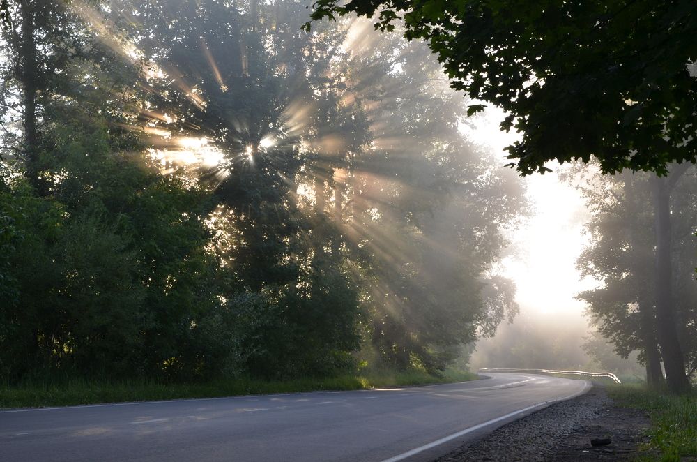 Photograph by Ольга Зиновьева