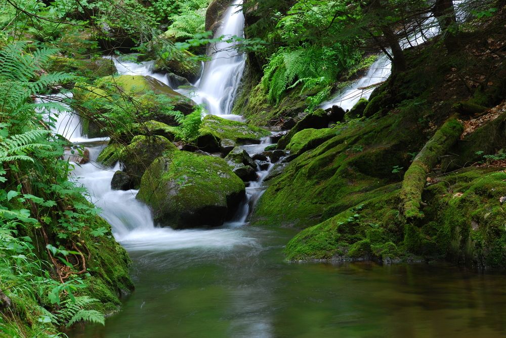 Photograph by Слави Котаров