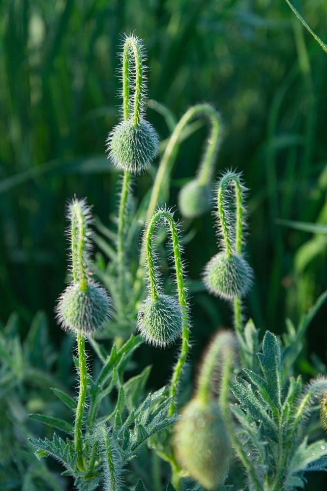 Photograph by Андрей Евтеев