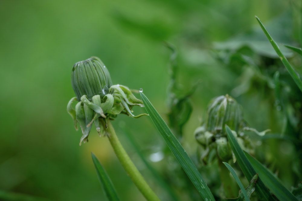 Photograph by Марина Зборацкая