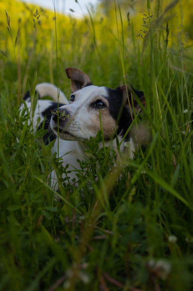 Photograph by Anastasija Petjko