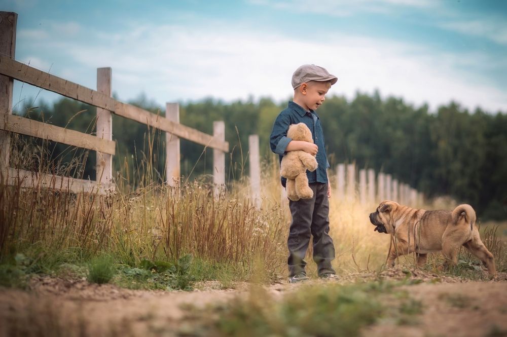 Photograph by Елена Раздвилова