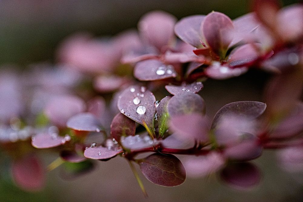 Photograph by Biryukova Anastasia