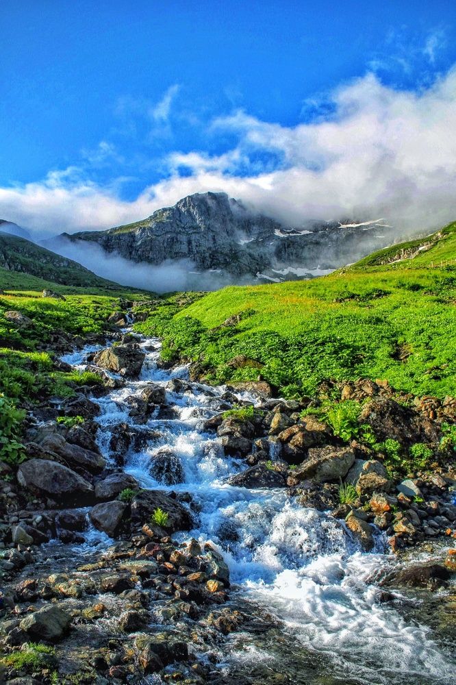 Photograph by cengiz pamuk