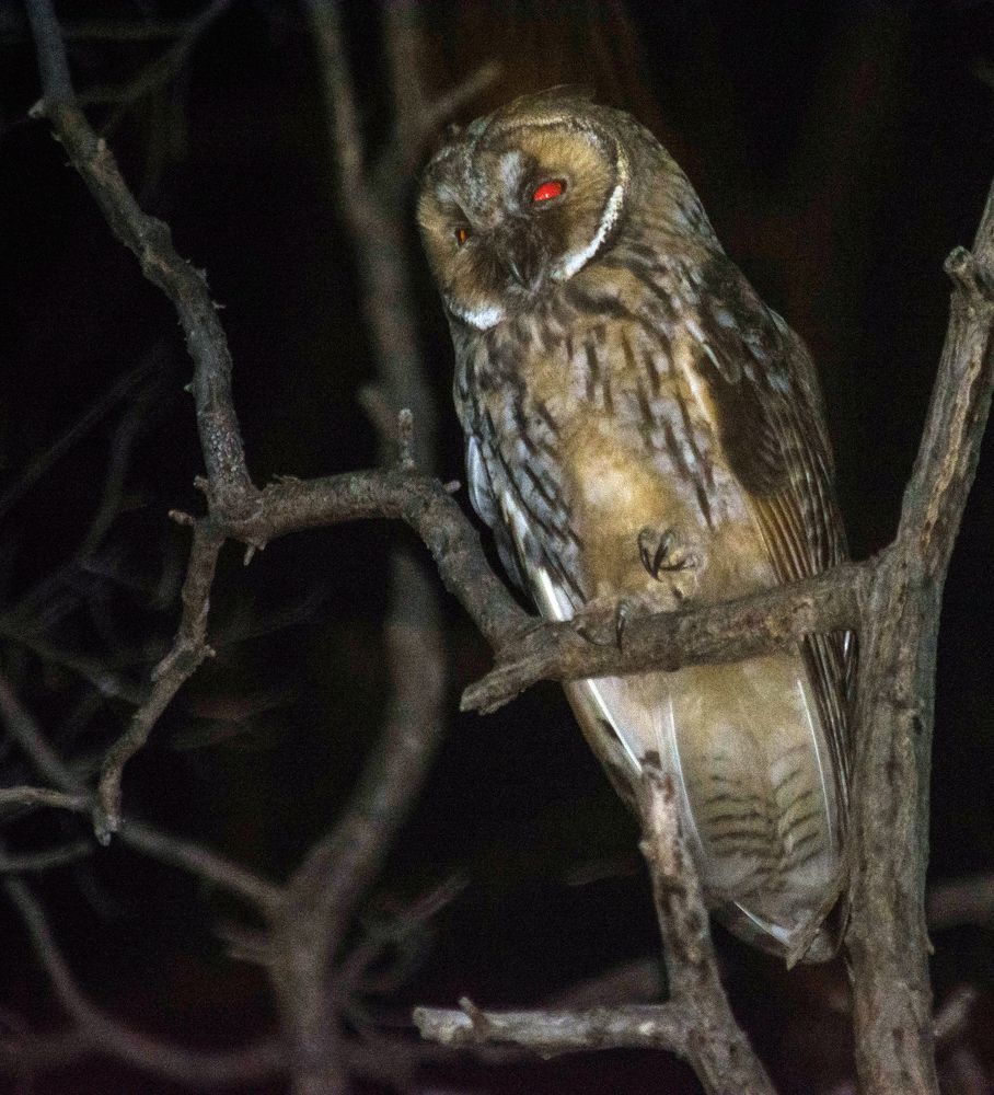 Photograph by Александр Гильмутдинов